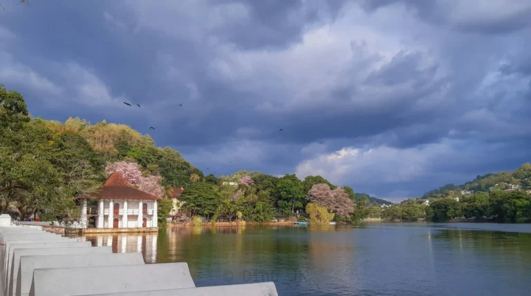 राजकोट में 17 जून को होगा श्रीलंका टूरिज्म का अहम रोडशो, दक्षिण गुजरात के ट्रैवल व्यवसाय के अवसरों पर होगी चर्चा